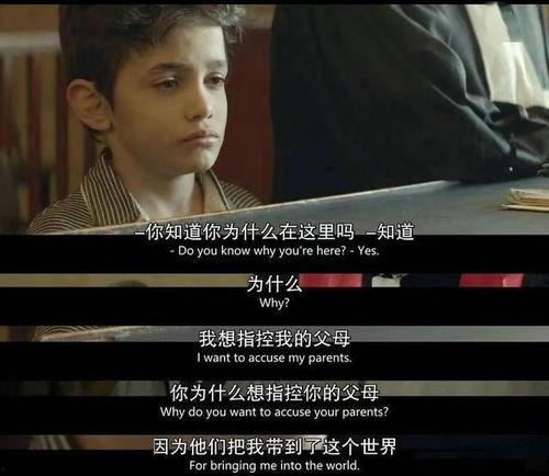 何以为家视频在线观看,揭示儿童难民生存困境的震撼之作