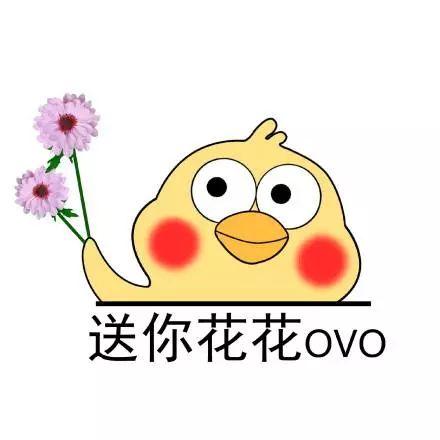黑哥爆料的视频的微博是什么,幕后真相大起底