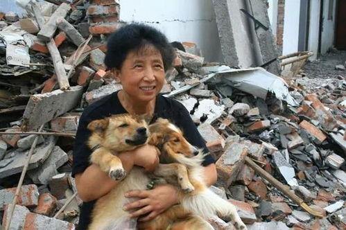 爆料救助流浪狗视频大全,流浪狗救助视频大盘点