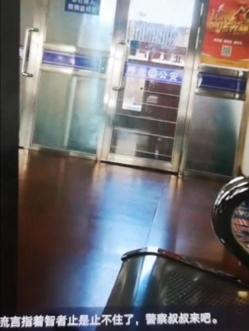 哈尔滨高校爆料视频最新,揭秘校园内幕，真相令人震惊！