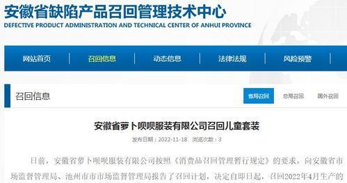 近期的爆料新闻报道有哪些,新闻背后的真相与争议