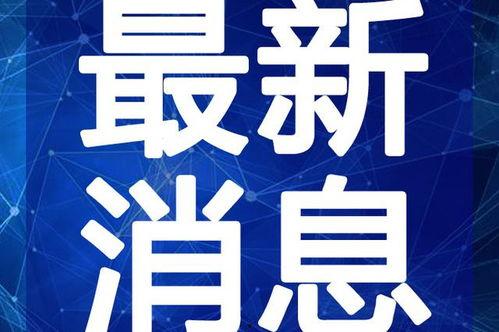 最新台湾狗崽爆料视频大全,揭秘幕后真相