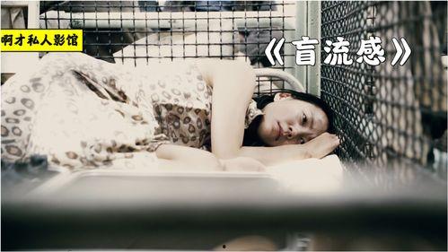 《盲流感》在线观看,探索人性与生存的黑暗寓言