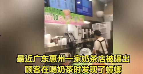 奶茶工厂爆料视频大全集,独家爆料视频大全集深度解析