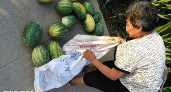 伊犁吃瓜最新事件爆料,揭秘背后惊人真相！