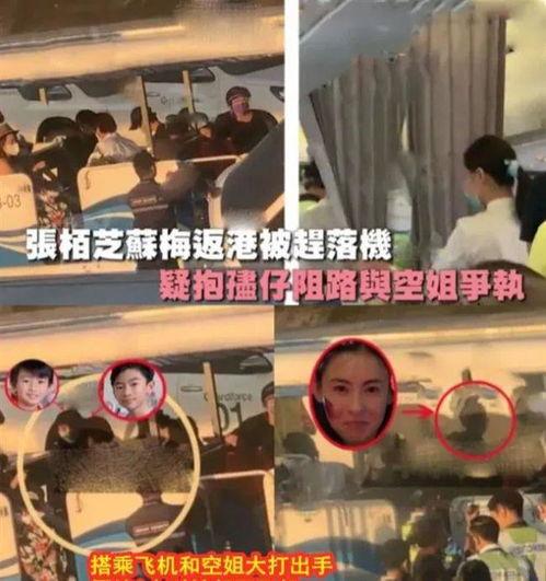 空姐爆料张柏芝视频,真相背后引人深思