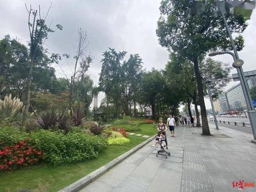成都人民公园爆料视频,惊现神秘事件引众议