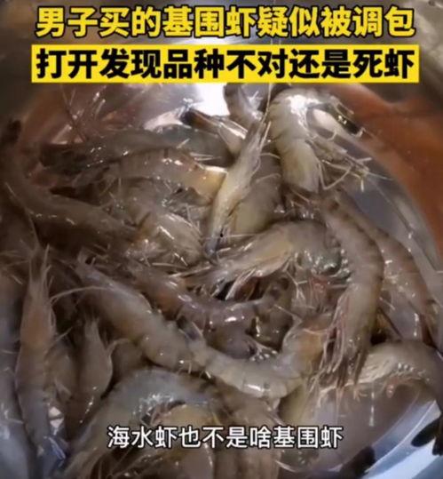 虾爆料视频,幕后真相大曝光