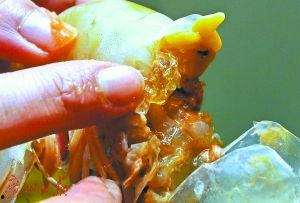 虾爆料视频,幕后真相大曝光