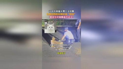 在派出所吃瓜当团宠全文免费阅读,团宠吃瓜日常