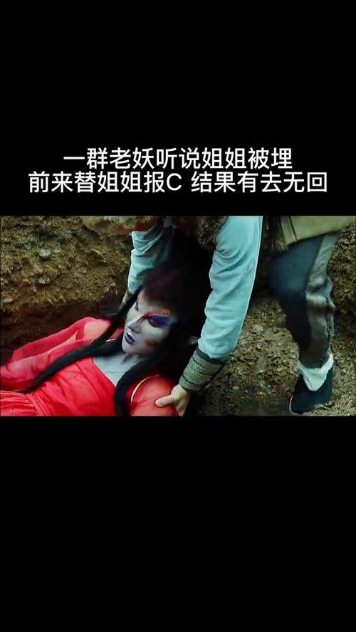 毛大师电影在线观看,在线重温红色经典，传承革命精神