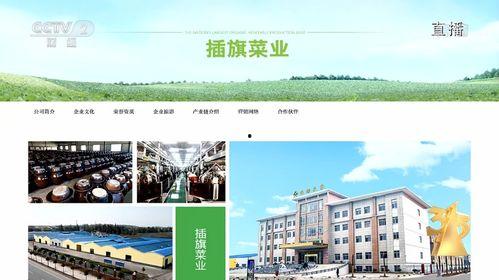 插旗菜业爆料新闻,揭秘行业黑幕，品质与诚信的较量