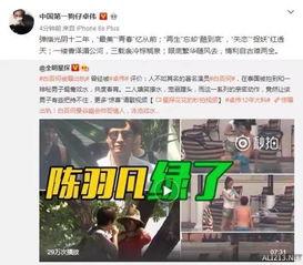 卓伟5年前爆料视频案件,真相与疑云交织