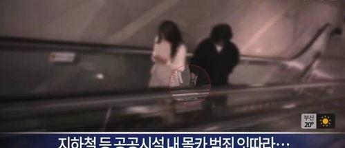 柯基被杀女子爆料视频,惊心动魄的复仇之路