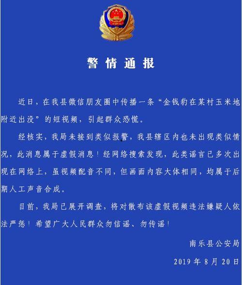 吉林爆料最新新闻报道,揭秘重大事件背后真相