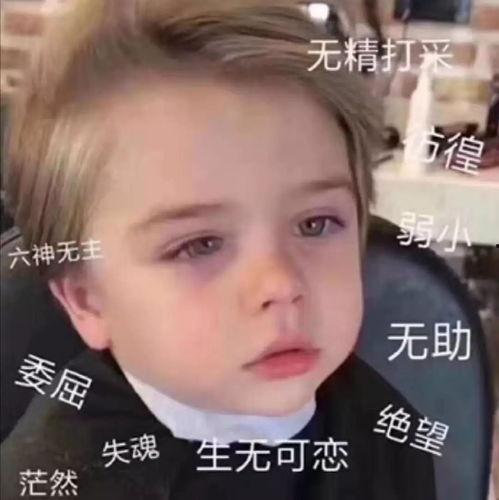 娱乐八卦最新爆料图片表情包,最新爆料图片表情包大曝光！