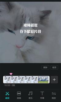 雷神爆料内鬼视频播放下载,揭秘幕后操作与下载攻略