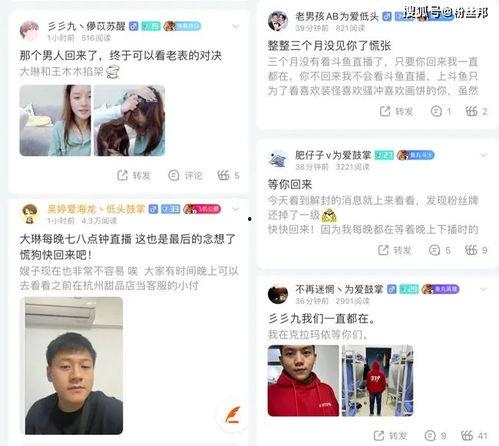 三九版本爆料视频大全,揭秘最新游戏动态与精彩内容