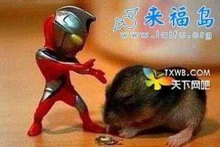 亨利小怪兽在线观看,奇幻冒险之旅，在线观看带你领略童趣世界