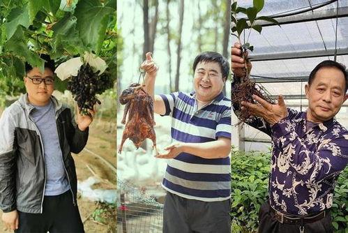 农民老张最新爆料新闻,揭秘农村新动向背后的惊人真相！