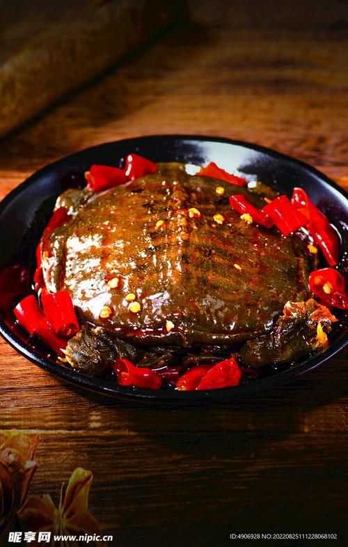 麻辣甲鱼爆料视频大全下载,揭秘娱乐圈幕后真相