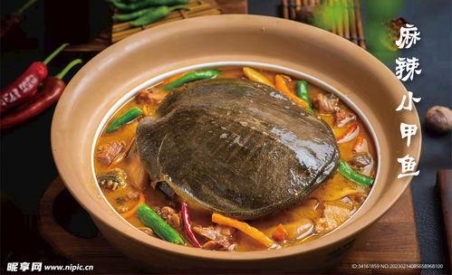 麻辣甲鱼爆料视频大全下载,揭秘娱乐圈幕后真相
