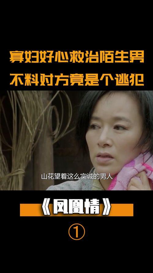 寡妇的心在线观看,揭秘情感纠葛与复仇之路