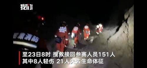 新闻爆料牧羊人视频完整版,揭秘草原奇遇背后的真相