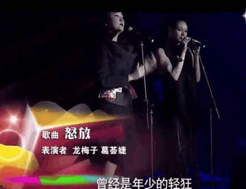 汪峰爆料前妻视频,揭秘婚姻背后的真相