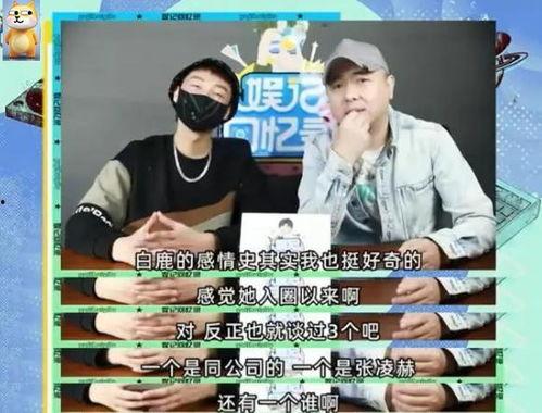 陈大锤最新爆料新闻,最新爆料新闻背后的惊人真相
