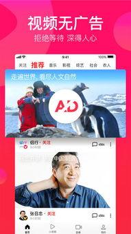 吃瓜专属视频下载安装免费,吃瓜专属视频安装免费攻略