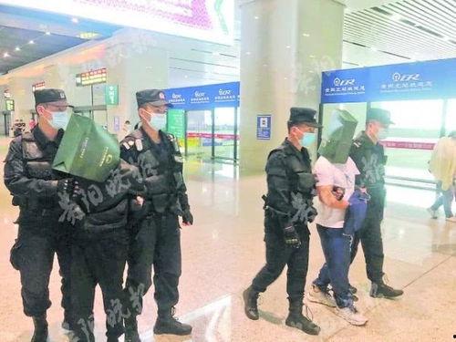 贵阳警方最新爆料,重大案件侦破背后的故事