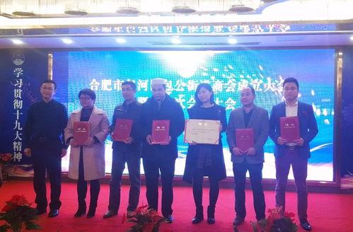 合肥壹加壹新闻爆料,揭秘背后惊人真相