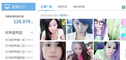 武帝主播爆料视频大全集,视频大全集精彩内容速览