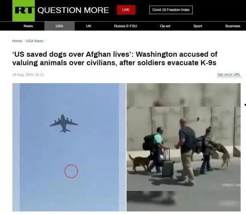 美国加州病毒爆料视频播放,揭秘疫情真相与应对措施