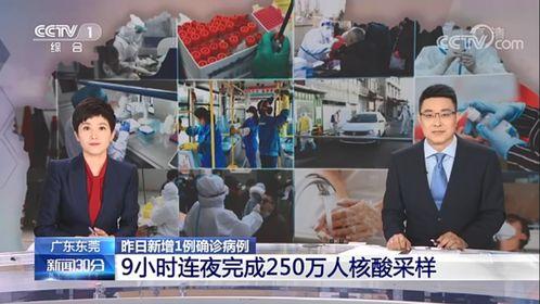 东莞都市现场爆料新闻直播,直播揭秘最新热点事件