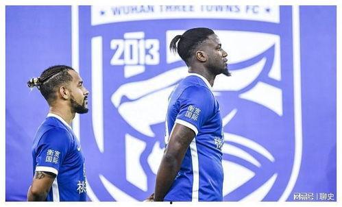 武汉外援爆料最新消息,揭秘疫情下的真实情况与挑战”