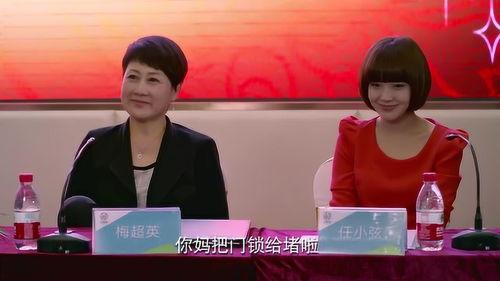 陕西儿媳妇爆料新闻报道,揭秘家庭矛盾背后的真相