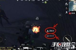 毁灭端游爆料视频大全,揭秘游戏幕后秘密与精彩瞬间