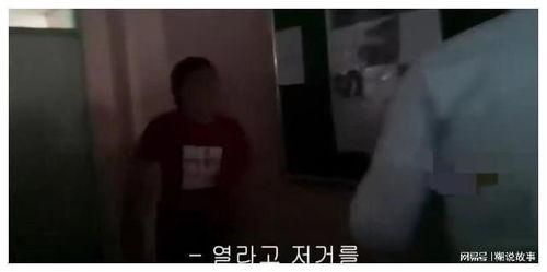 校园霸凌爆料者道歉视频,勇敢面对错误，寻求和解之路