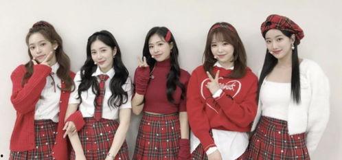 校园霸凌爆料者道歉视频,勇敢面对错误，寻求和解之路