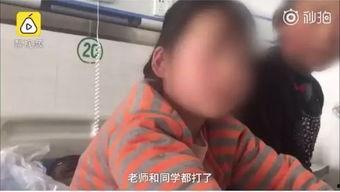 校园霸凌爆料者道歉视频,勇敢面对错误，寻求和解之路