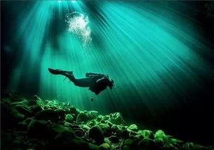 水底世界爆料视频大全下载,水底世界爆料视频大全下载精选集锦