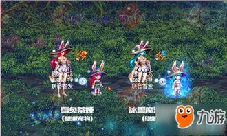 女娲宠物爆料视频大全,揭秘神秘宠物背后的故事