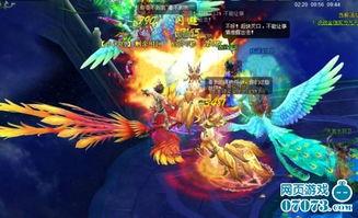 女娲宠物爆料视频大全,揭秘神秘宠物背后的故事