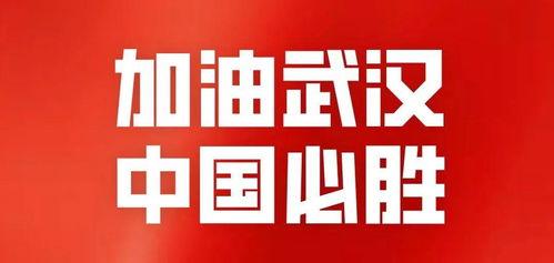 青山最新爆料新闻事件,最新爆料事件背后的真相与内幕