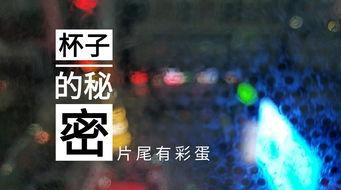 苏州酒店爆料视频最新版,揭秘奢华背后的惊人真相