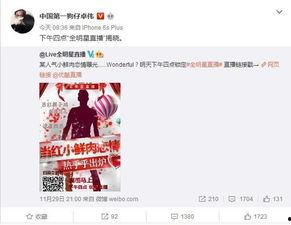 今日爆料怎么发布的视频,视频背后的制作过程与幕后故事