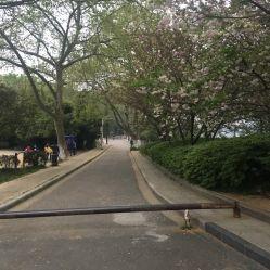 甘棠公园爆料事件视频,真相究竟如何？