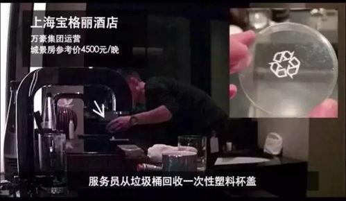 两女1杯在线观看视频,揭秘神秘情感纠葛，情感漩涡中的爱恨情仇